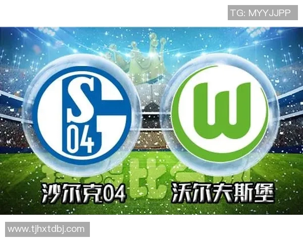 沃尔夫斯堡逆袭胜沙尔克04，夺得胜利关键三分！